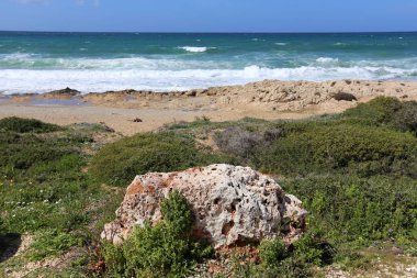 İsrail 'in kuzeyindeki Akdeniz kıyısında. 