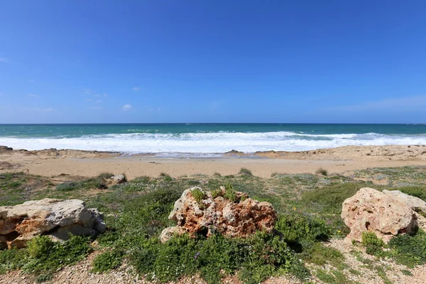 Côte Mer Méditerranée Nord Israël — Photo