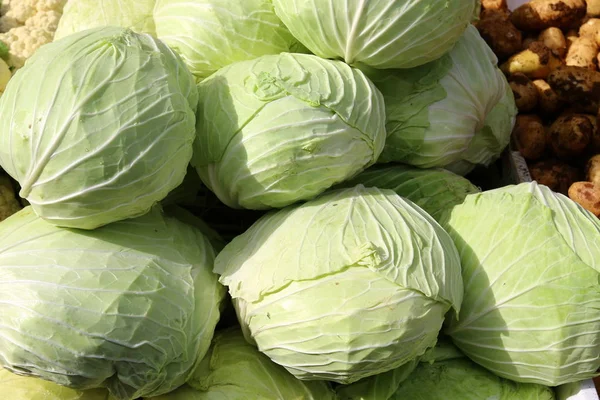 Marknaden Staden Akko Säljs Frukt Och Grönsaker — Stockfoto