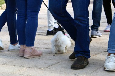 Bir kaldırım sokak tarafında bulunan bir yaya geçit olduğunu 