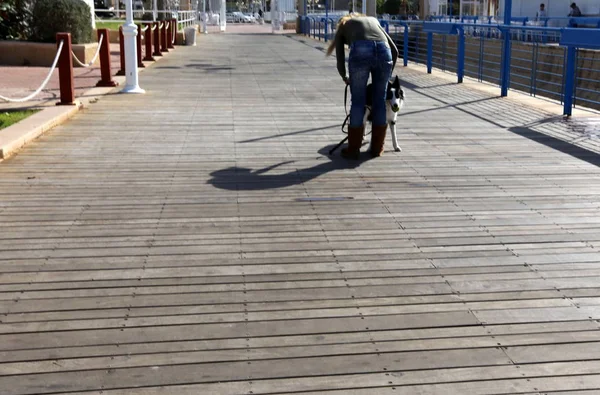 歩道は通り側に位置し 歩行者通路です — ストック写真