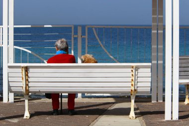 geri kalanı için bir Bank açık bir parkta duruyor 