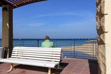 geri kalanı için bir Bank açık bir parkta duruyor 