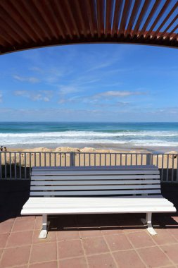 geri kalanı için bir Bank açık bir parkta duruyor 