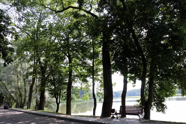 Bench Rest Stands Open Park — Stock Photo, Image