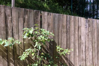 Çit - geçiş için yangın dolapları ve gates geçiş için başka bir bölgede, bir çit korumak için hizmet yapmak. 