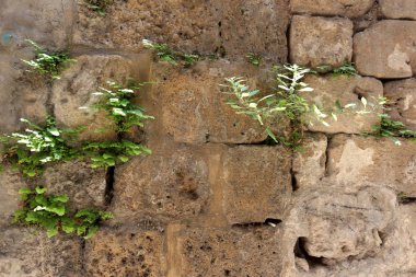 doku ve yapısı, taş ve kaya 