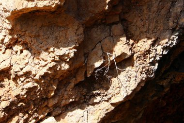 doku ve yapısı, taş ve kaya 