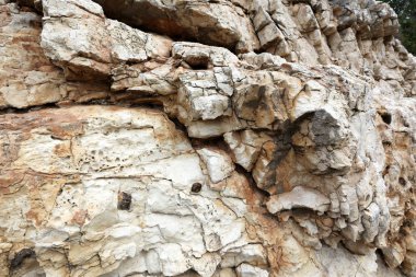 doku ve yapısı, taş ve kaya 