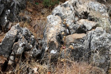doku ve yapısı, taş ve kaya 