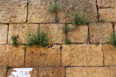 doku ve yapısı, taş ve kaya 