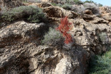 doku ve yapısı, taş ve kaya 