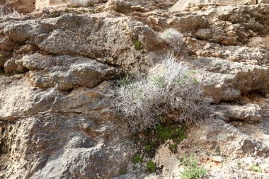 doku ve yapısı, taş ve kaya 