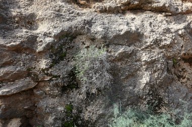 doku ve yapısı, taş ve kaya 