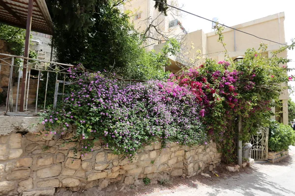 Safed Cidade Distrito Norte Israel Localizada Centro Alta Galileia Uma — Fotografia de Stock