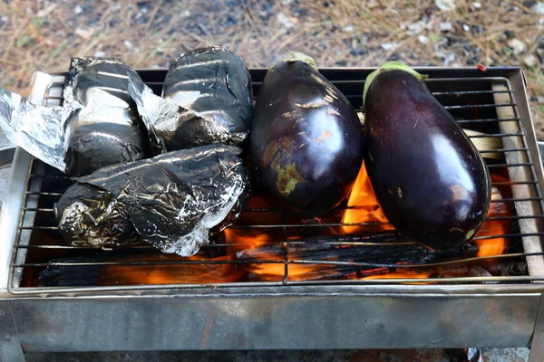 Sobre Grelha Assado Legumes Carne — Fotografia de Stock