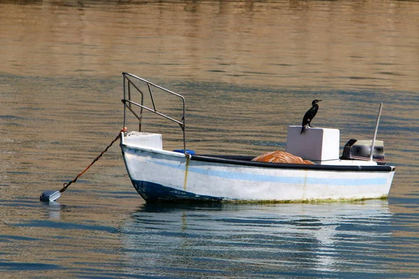 Pier Der Stadt Akko Liegt Ein Kleines Fischerboot — Stockfoto