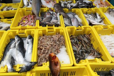 Taze balık dönümlük eski şehir içinde çarşı vasıl satılmaktadır 