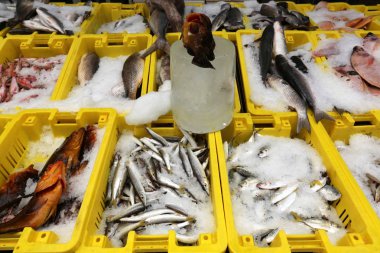 Taze balık dönümlük eski şehir içinde çarşı vasıl satılmaktadır 