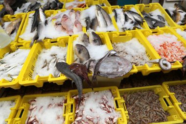 Taze balık dönümlük eski şehir içinde çarşı vasıl satılmaktadır 