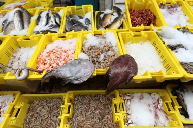 Taze balık dönümlük eski şehir içinde çarşı vasıl satılmaktadır 