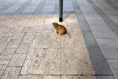 geometrik şekiller ve çizgiler doğa ve İnşaat 