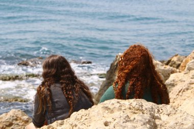 taşlar ve kabukları Akdeniz kıyısında yalan 