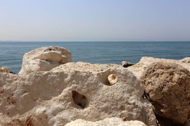 taşlar ve kabukları Akdeniz kıyısında yalan 