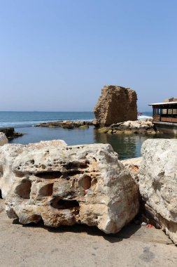 taşlar ve kabukları Akdeniz kıyısında yalan 