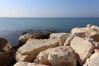 taşlar ve kabukları Akdeniz kıyısında yalan 