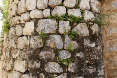 taşlar ve kabukları Akdeniz kıyısında yalan 