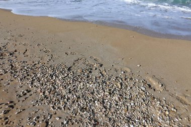 taşlar ve kabukları Akdeniz kıyısında yalan 