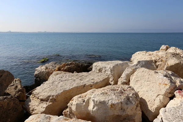 Kamienie Muszelki Znajdują Się Nad Brzegiem Morza Śródziemnego — Zdjęcie stockowe