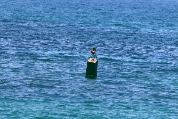 Pobřeží Středozemního Moře Severu Izraele — Stock fotografie