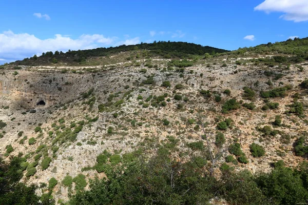 Nature Fleurs Gros Plan Dans Nord Israël — Photo