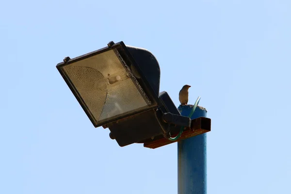 Lanterna Sorgente Luminosa Artificiale Portatile Fissa — Foto Stock