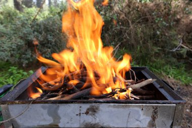 Barbekü ortasında yanıklar ateş, şiş kebap kızartacak 