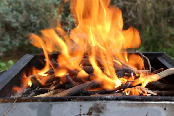 Barbekü ortasında yanıklar ateş, şiş kebap kızartacak 