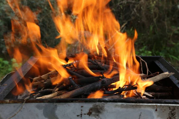 Dans Feu Barbecue Brûle Nous Allons Faire Frire Kebabs Shish — Photo