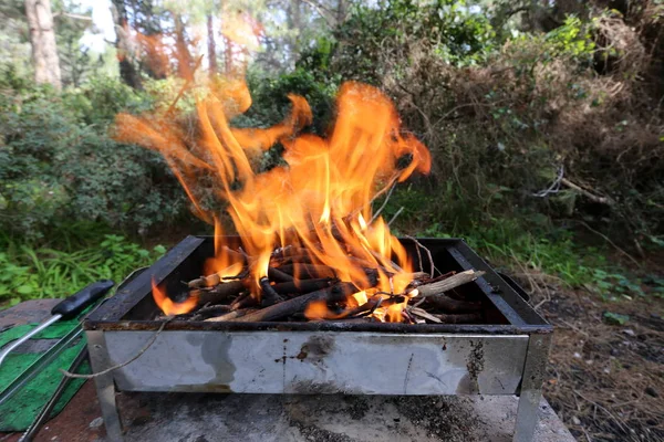 Dans Feu Barbecue Brûle Nous Allons Faire Frire Kebabs Shish — Photo