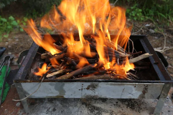 Barbecue Fire Burns Fry Shish Kebabs — Stock Photo, Image