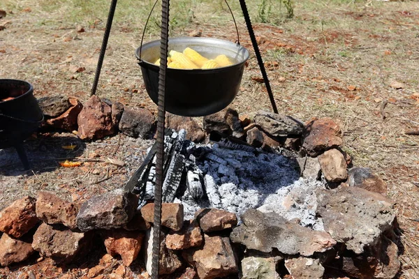 若いトウモロコシの醸造に火を鍋で — ストック写真