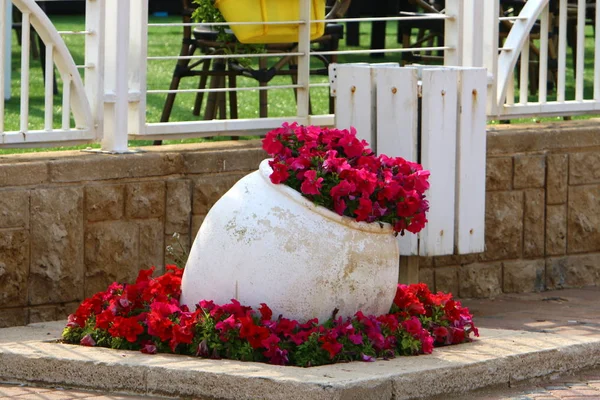 Parterres Fleurs Pots Fleurs Dans Les Rues Ville — Photo