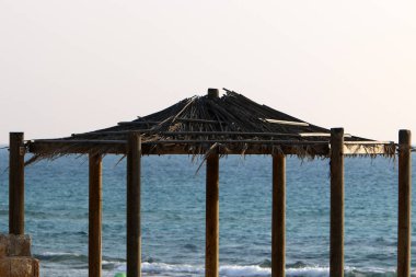 gölgelik üzerinden sıcak güneş ışığında deniz kıyısı 