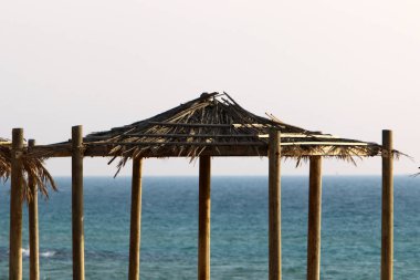 gölgelik üzerinden sıcak güneş ışığında deniz kıyısı 