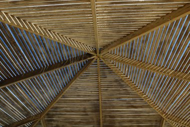 gölgelik üzerinden sıcak güneş ışığında deniz kıyısı 