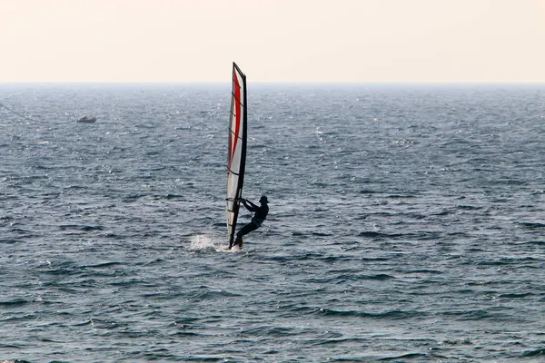 Homme Dans Mer Sur Une Planche Avec Une Voile — Photo