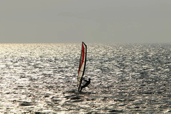 Man Sea Board Sail — Stock Photo, Image