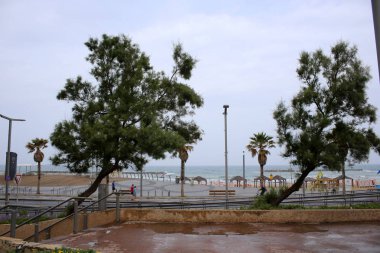 Tel Aviv İsrail Akdeniz kıyısında şehirde 