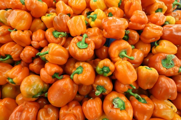 Las Verduras Venden Bazar Casco Antiguo Akko Israel — Foto de Stock